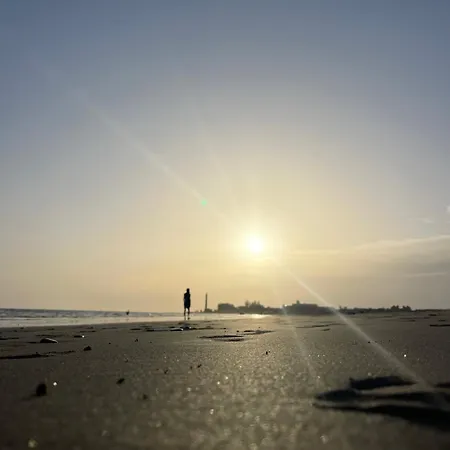 Five Maspalomas By Canaryscape