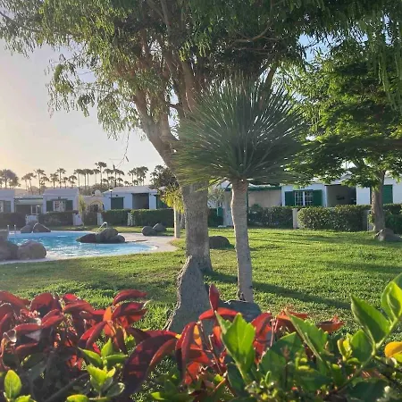 Five Maspalomas By Canaryscape *